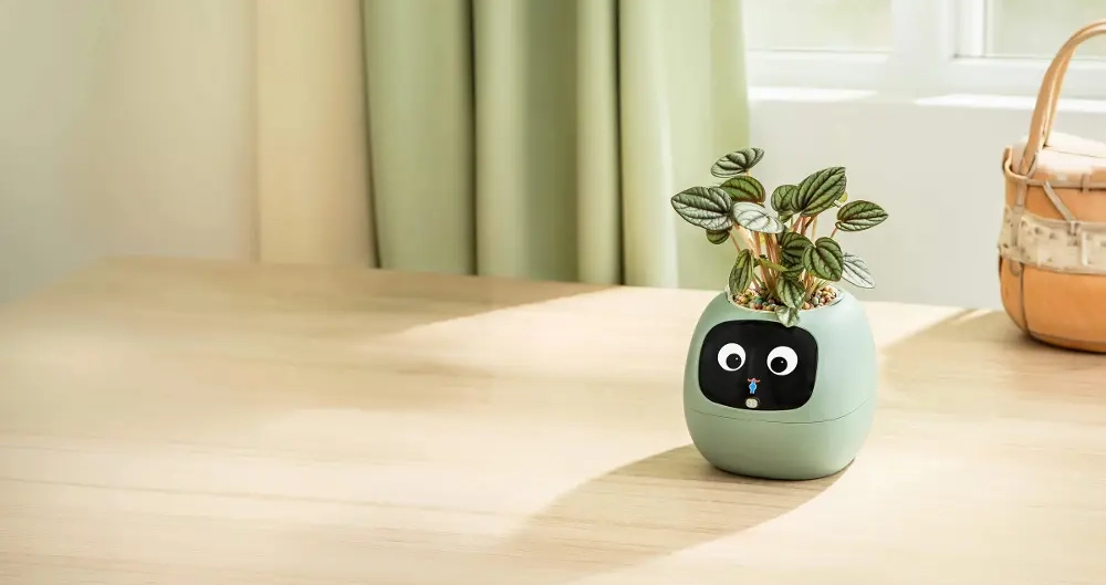 Plantsio Ivy zelen smart květinč chytr pěstovn